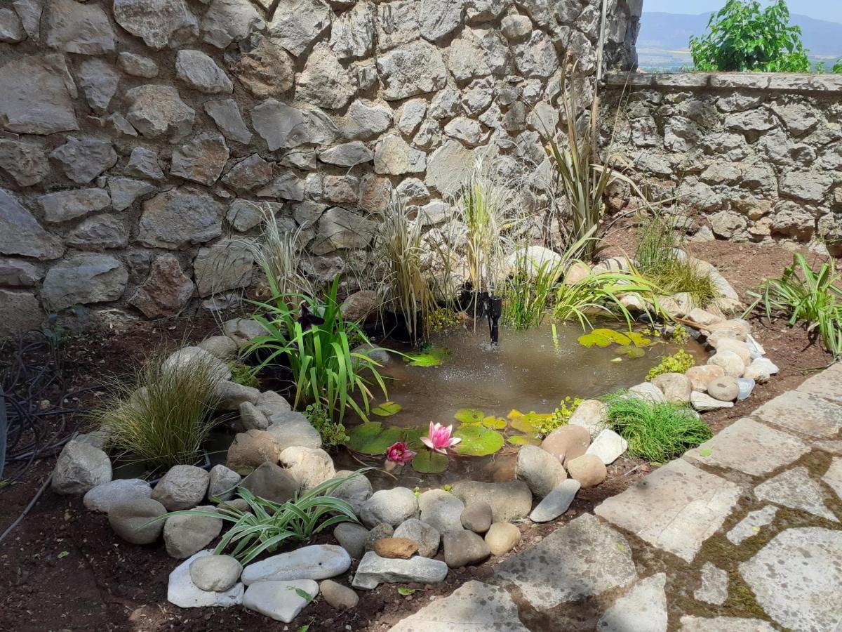 Agoriani Art Suite - 4 Seasons' Natural Living Lilaia ภายนอก รูปภาพ